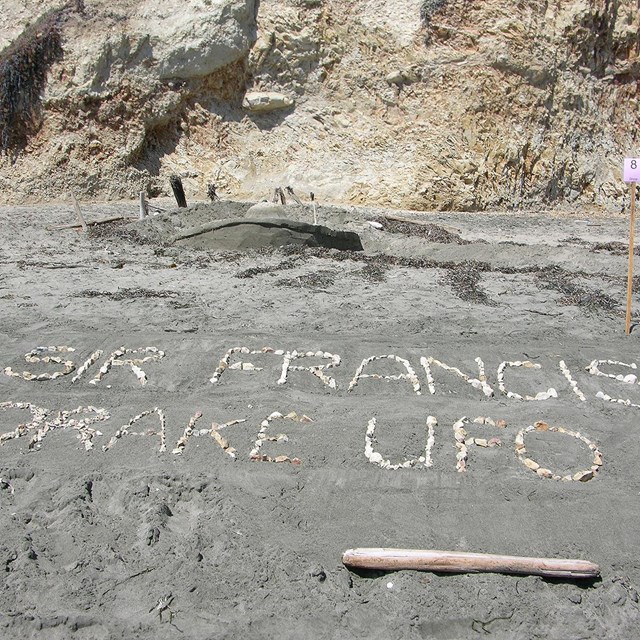 A sand sculpture of an unidentified flying object that has crashed on the beach. 