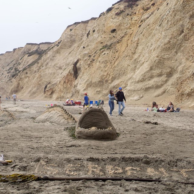 A sand sculpture of a sea serpent with a bulbous head swimming at the water's (sand's) surface.