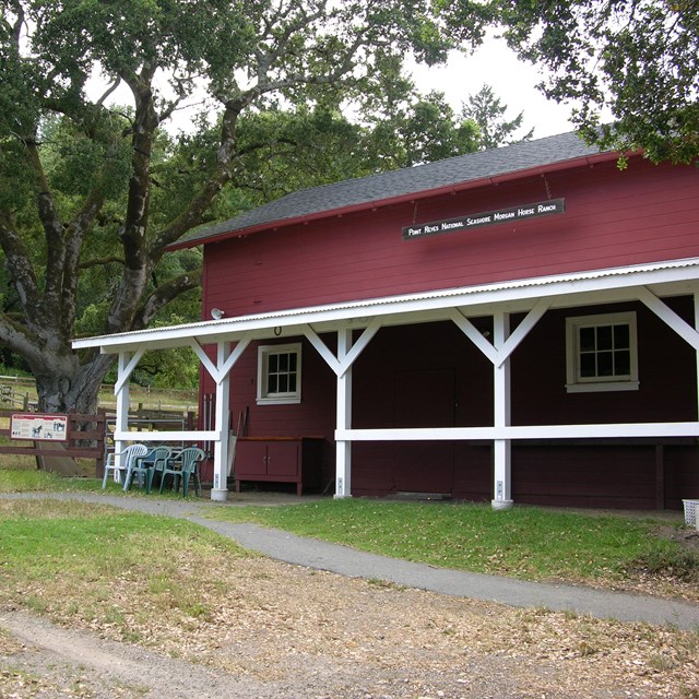 A red barn with white trim with a large oak tree on the left.