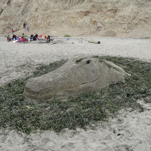 A sand sculpture of an alligator's head, surrounded by seaweed.