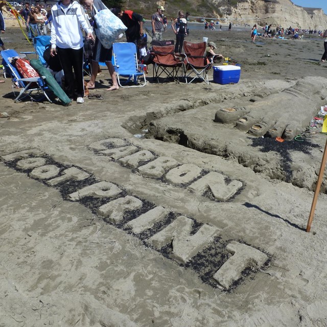A sand sculpture of a foot surrounded by seaweed above the words 