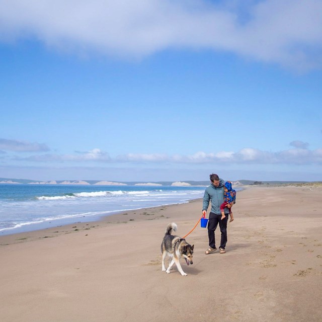 A man carrying a young boy walks a leashed dog on a sandy beach.