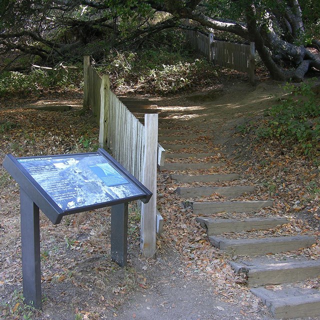 Two sections of fence that show the 16-foot displacement that occurred during the 1906 Earthquake.