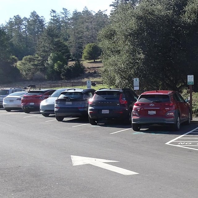 Six electric vehicles connected to EV charging stations in a tree-lined parking lot.