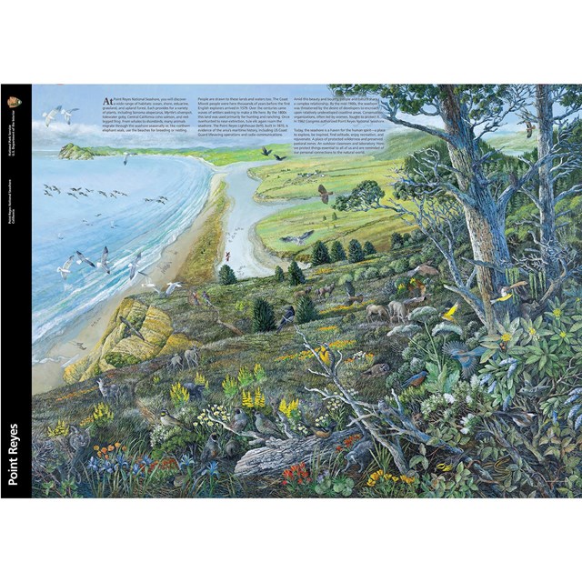 A painting of a plant- and animal-filled view from a wooded ridge looking toward the ocean.