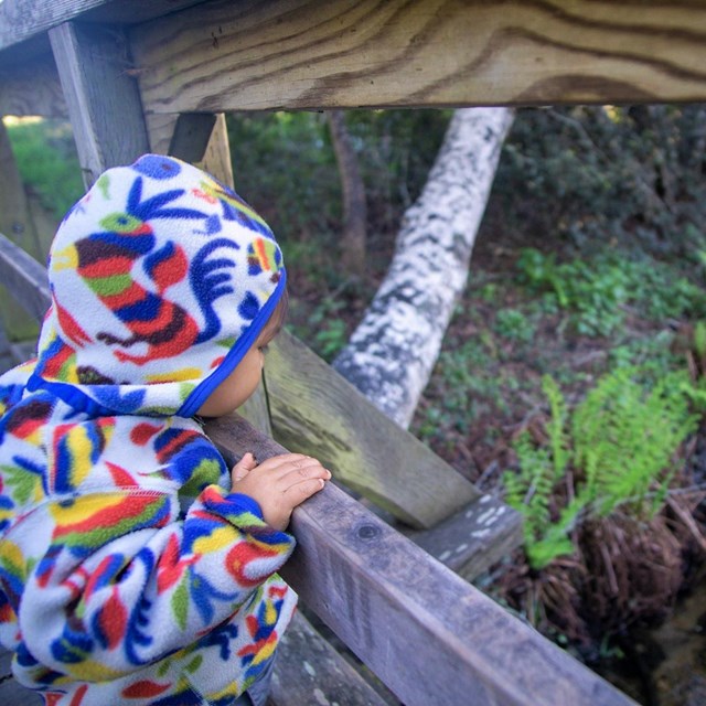 A small child in a colorful hooded fleece looks over the side of a wooden footbridge into a creek