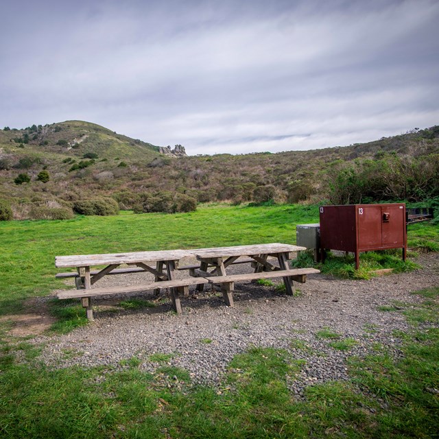 A picnic table and food storage locker in a grassy campsite, amongst a shrubby hillside. 