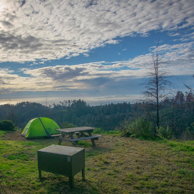 A green tent and a food storage locker labeled 