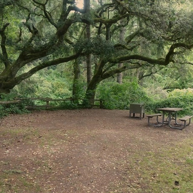 A picnic table and a food storage locker with the number 