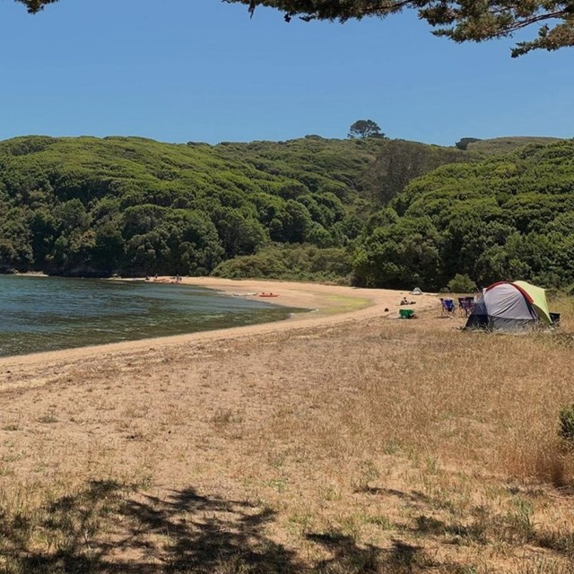 A few tents and people on a calm beach surrounded by trees on a sunny day.