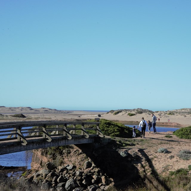 A family of four crosses a bridge over a small stream leading to a lagoon amongst grasses and shrubs