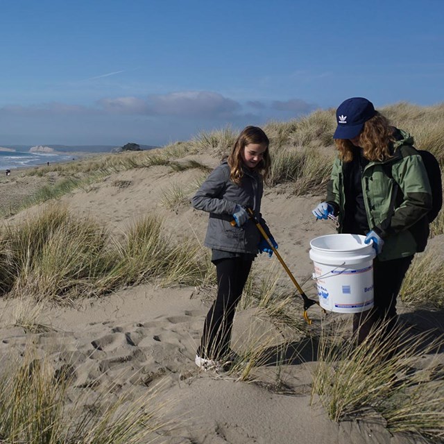 A woman holding a bucket and a girl with a trash grabber pick up litter in a coastal sand dune.