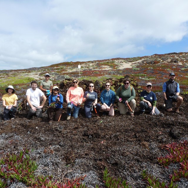 A group of 11 volunteers kneeling for a picture with a pile of removed invasive plant. 