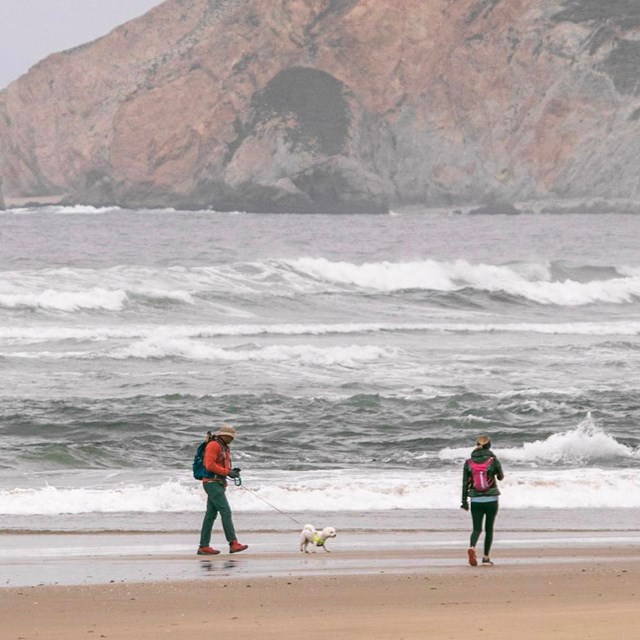 Two people walk on a wide beach with their leashed, white dog.