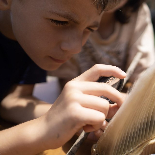 A close-up photo of a child investigating a piece of whale bailene.