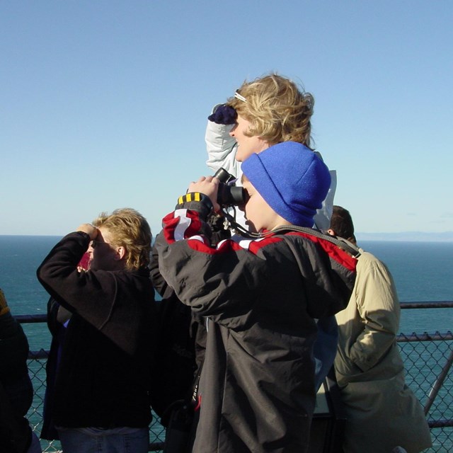 A group of visitors watching for gray whales.