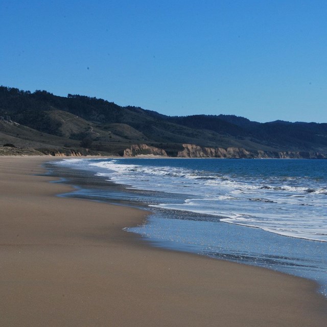 Looking along a sandy beach toward tree-covered hills with waves washing in from the right.