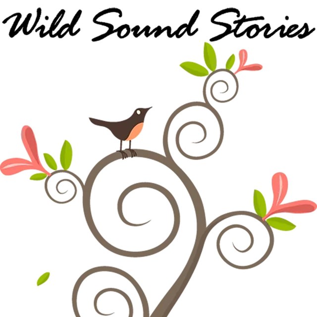 A cartoon of a robin in a tree below the words Wild Sound Stories.