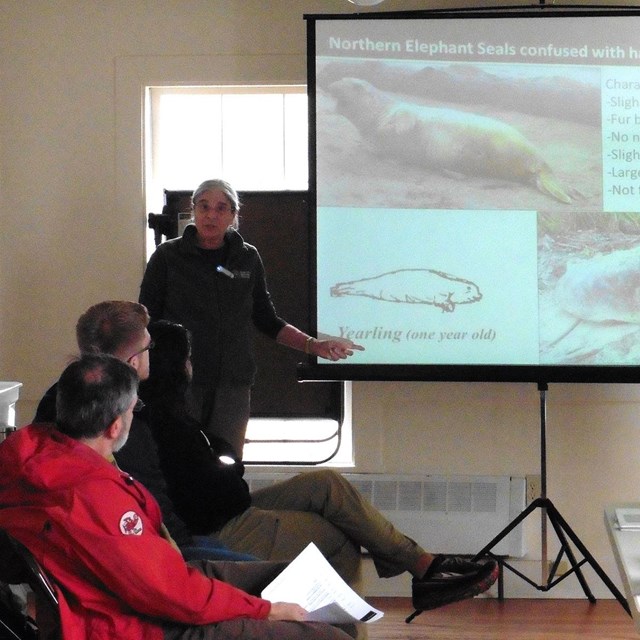 A woman points to an image of a seal pup projected on a screen while talking to a seated audience.