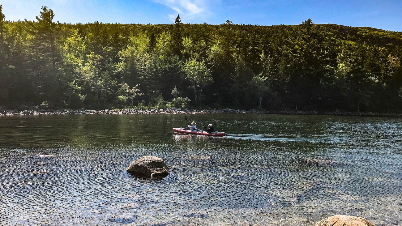 kayakers on a clean lake surrounded by forest