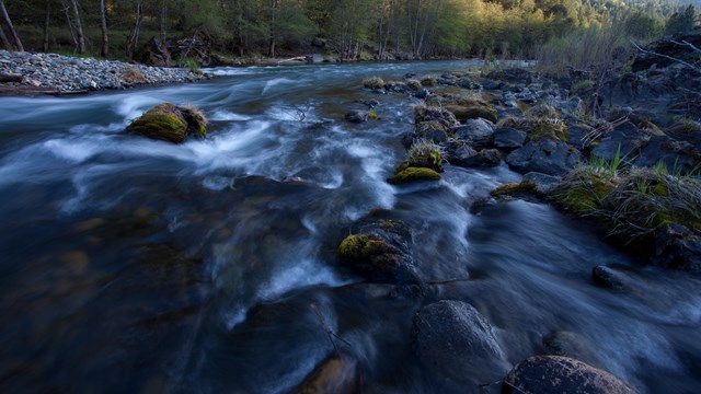 Close up of river rushing over rocks. 