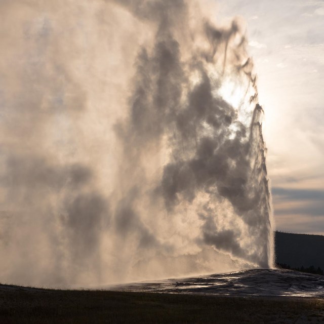 Large stream of water projected into air from geyser.