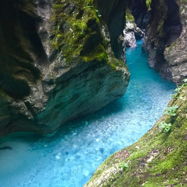 a bright turquoise blue stream flowing through a mossy canyon 