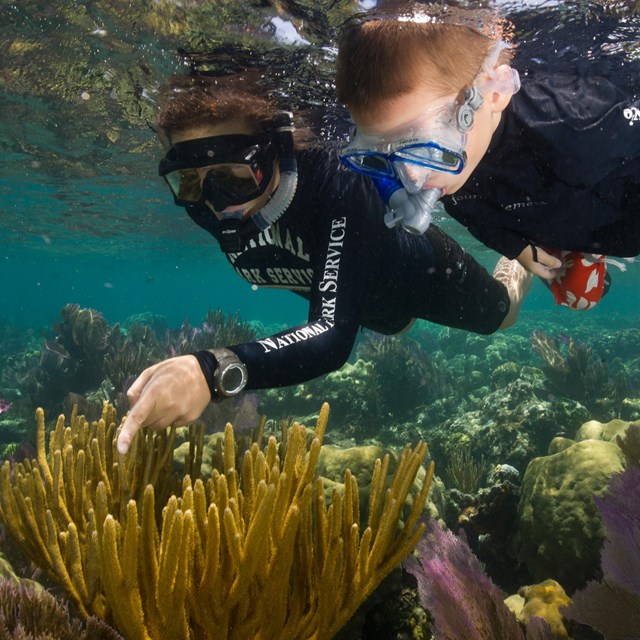 a snorkeler points out coral to a young snorkeler in shallow water