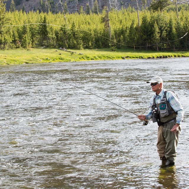 A man fly fishes in a river