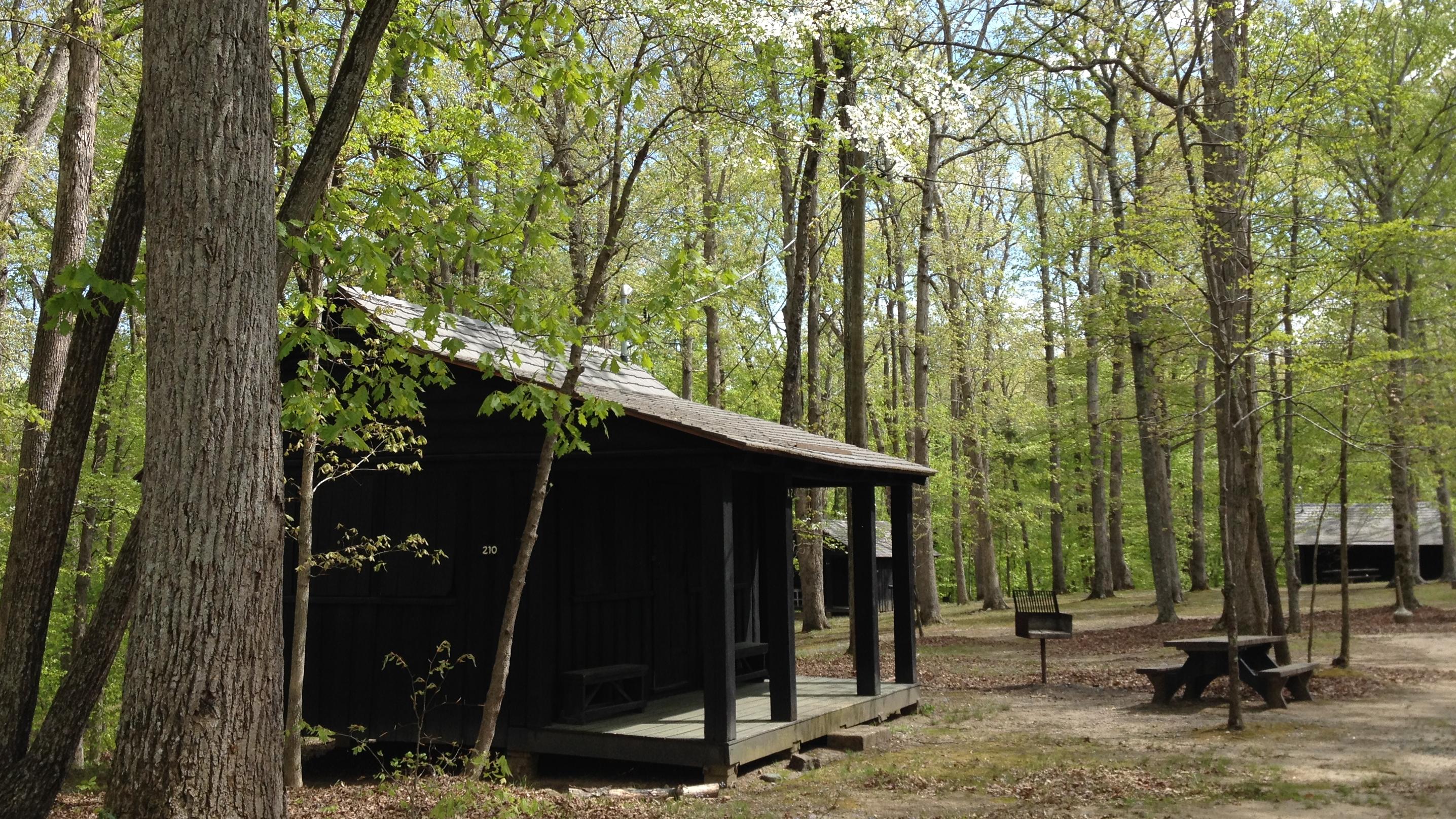 Wooden cabin with a porch near a picnic table and standing grill shaded by a green forest