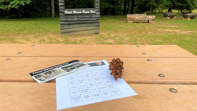 Prince William Forest Park Bingo