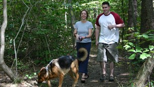 A man and woman with a dog hike a forest trail