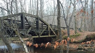 The latest information on bridge repairs in the park