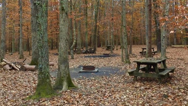 Turkey Run Ridge Group Campground