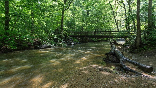 The Swinging Bridge seen from a distance from Laurel Loop Trail