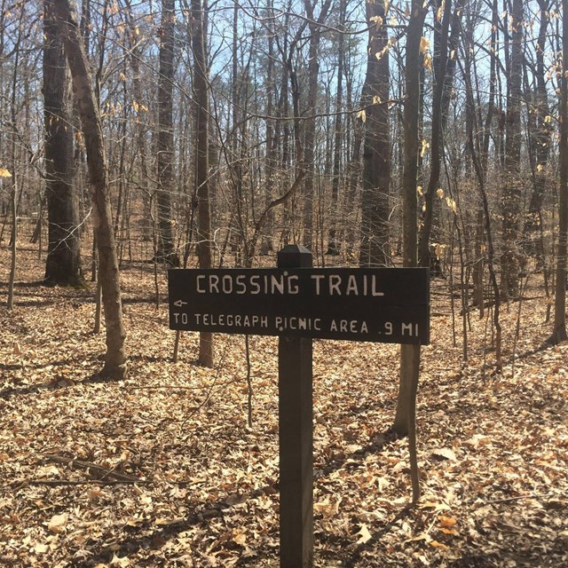 The Crossing Trail Sign in the middle of winter