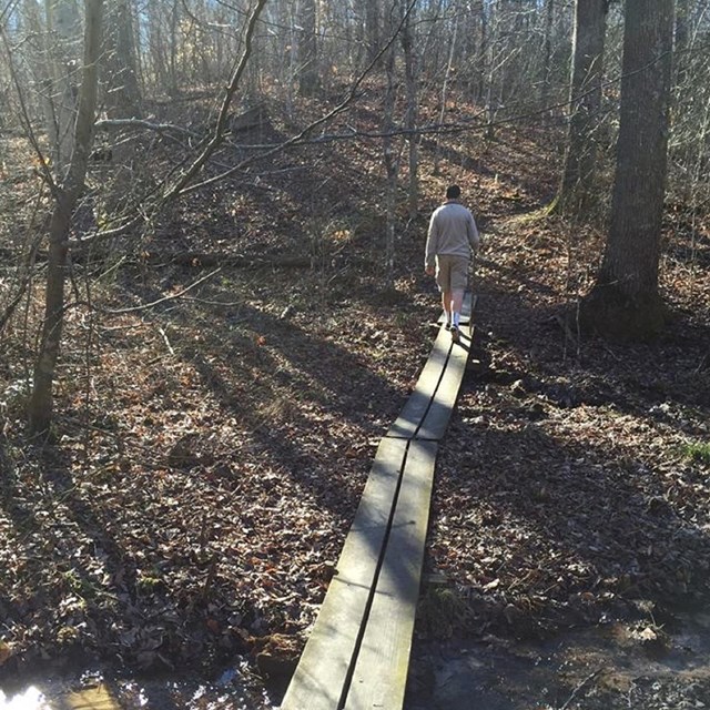 A young man hiking on a boardwalk