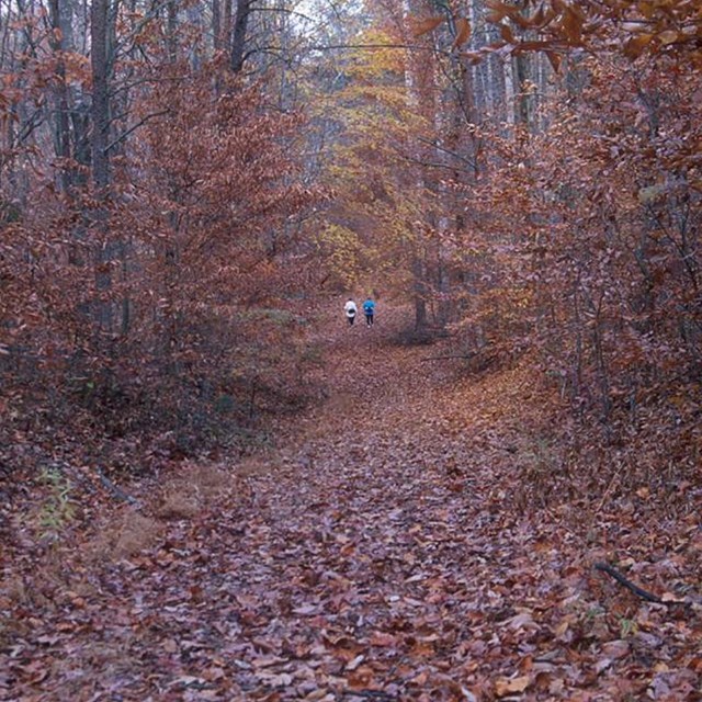 Two hikers, in the distance, on the trail