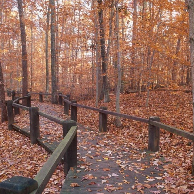 Hiking Prince William Forest Park U S National Park Service Hiking Prince William Forest Park U S National Park Service