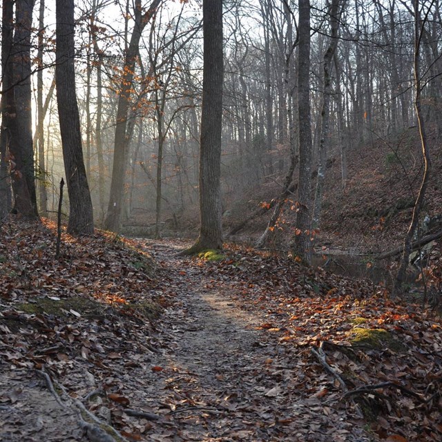 South Valley Trail moves along next to the Quantico Creek