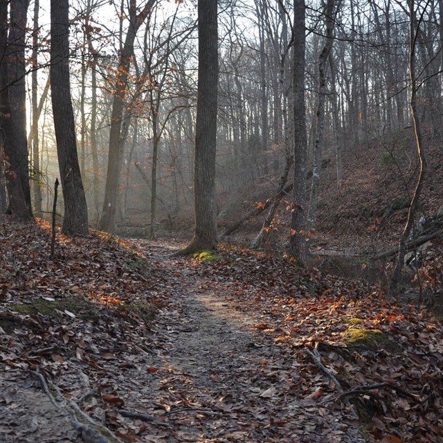 South Valley Trail moves along next to the Quantico Creek