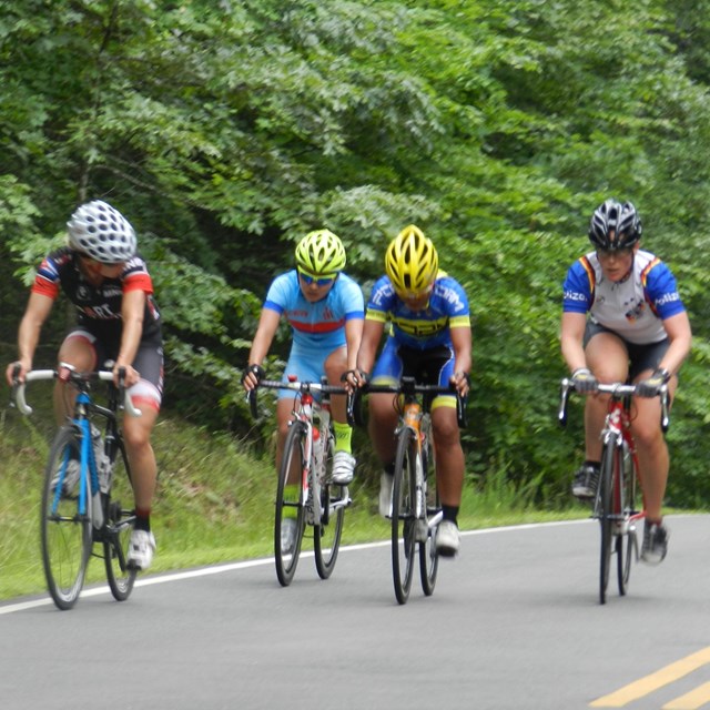 Four bicyclists ride together on a paved road