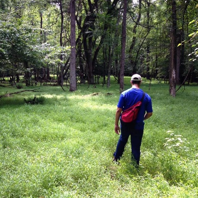 Hiker in the forest with a red backpack 