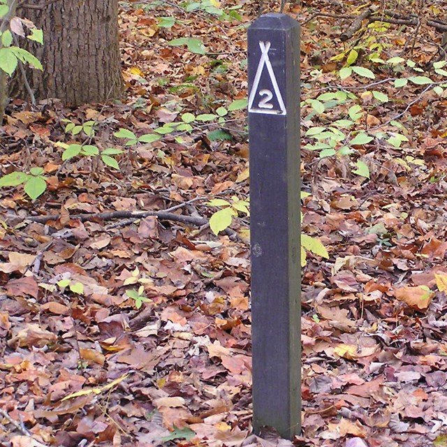 Camping post in the backcountry area.