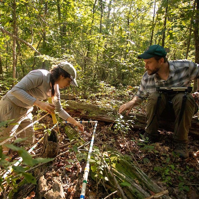Two biologists kneel next to a quad, which is white PVC pipe in the shape of a rectangle and look at