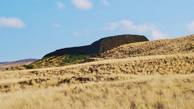 Side view of heiau