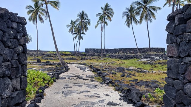 A double hulled dugout canoe passes in front of Hale o Keawe temple 