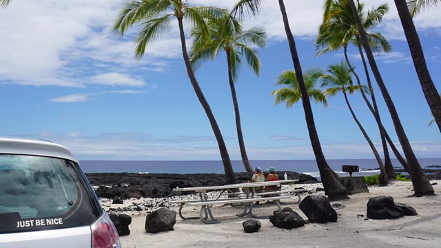 Coconut trees tower high over two visitors enjoying the view of the ocean from the picnic area