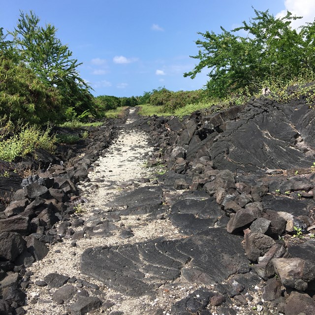 The lava rock and sand trail extends ahead with vegetation on either side.