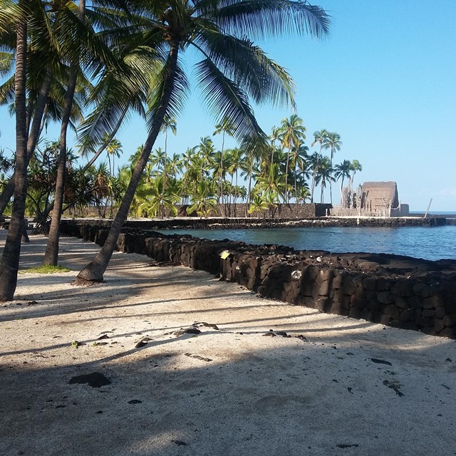 The Royal Ponds reflect coconut trees in the Royal Grounds